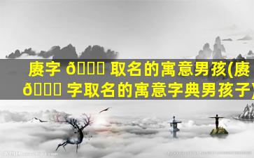 赓字 💐 取名的寓意男孩(赓 🐕 字取名的寓意字典男孩子)